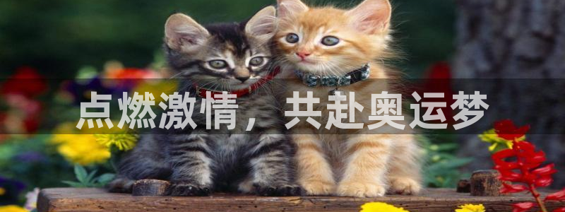 米兰体育中心
