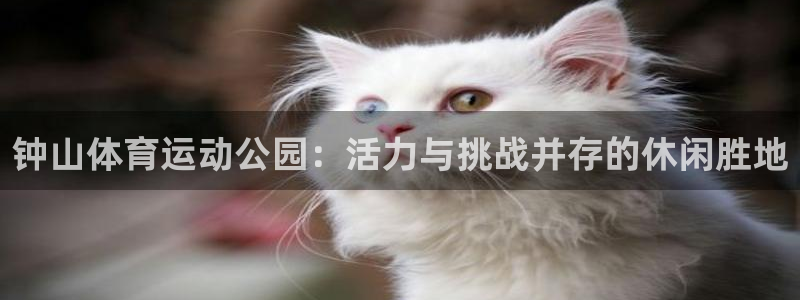 米兰体育app下载