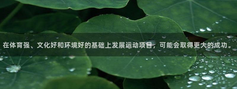 米兰体育网页版