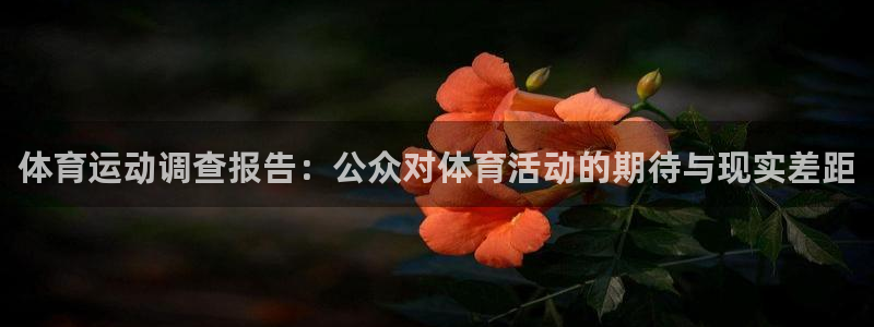 米兰体育场