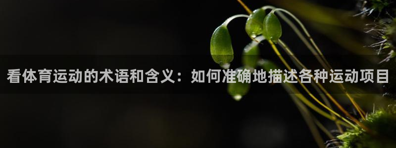 米兰体育平台