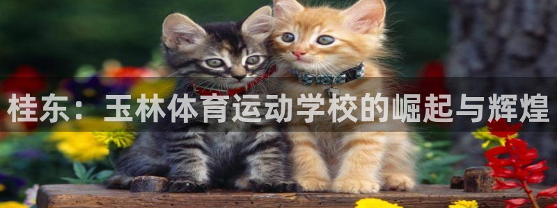 米兰体育报官网