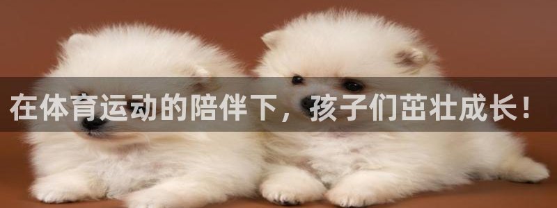 米兰体育.